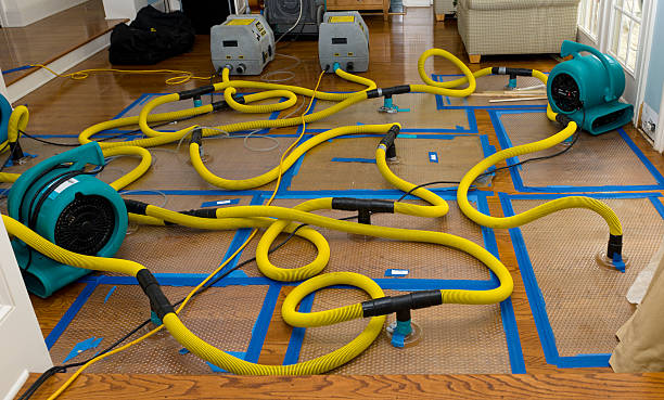 Professional Sewage Cleanup technician working in Newport, OR